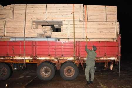 Narcotráfico en Argentina: Un can detecta más de 3 toneladas de marihuana en Corrientes trasladadas entre maderas (Imágenes)